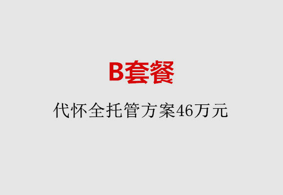 天津B套餐：代怀全托管方案46万元